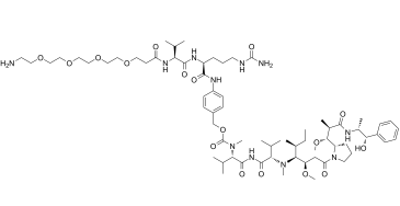 Amino-PEG4-Val-Cit-PAB-MMAE 1492056-71-9